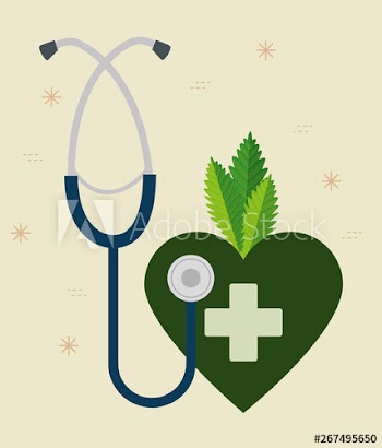 stethoscope with heart and cross to medicine cannabis plant