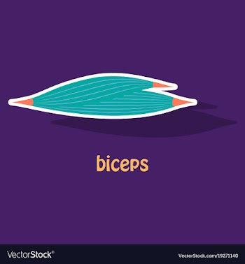 Sticker biceps triceps - movement of the arm and vector image