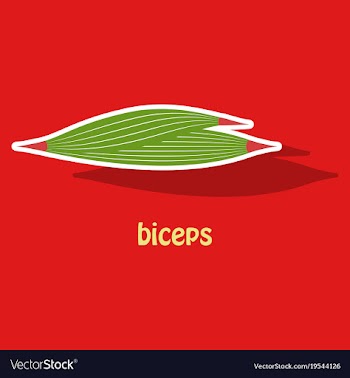 Sticker biceps triceps - movement of the arm and vector image