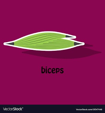 Sticker biceps triceps - movement of the arm and vector image