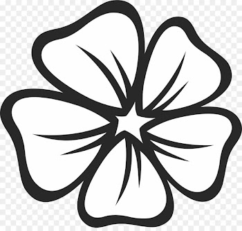 Sticker Decal Flower Frangipani Image - flower 