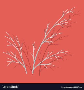 Sticker dill isolated hand drawing flavoring vector image