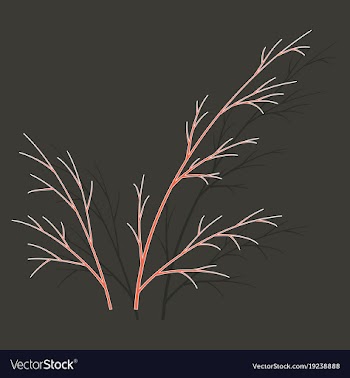 Sticker dill isolated hand drawing flavoring vector image