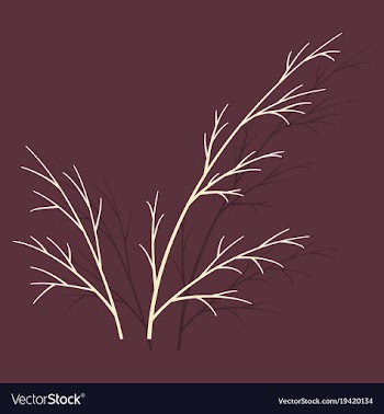 Sticker dill isolated hand drawing flavoring vector image