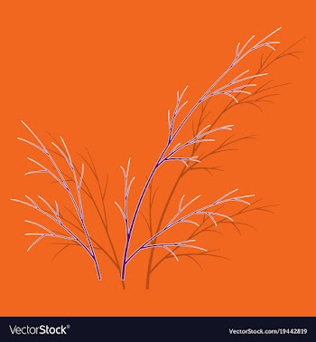 Sticker dill isolated hand drawing flavoring vector image