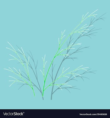 Sticker dill isolated hand drawing flavoring vector image