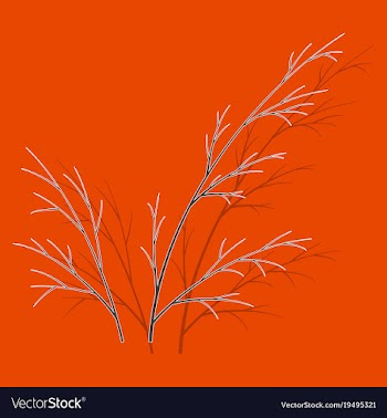 Sticker dill isolated hand drawing flavoring vector image
