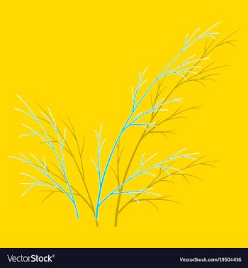Sticker dill isolated hand drawing flavoring vector image