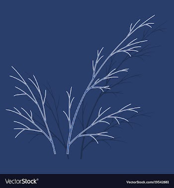 Sticker dill isolated hand drawing flavoring vector image