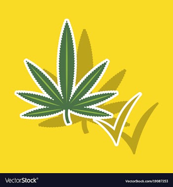 Sticker hand drawn color botanical of hemp vector image