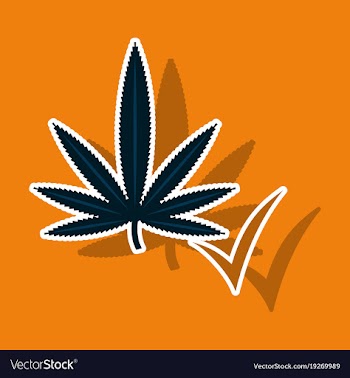Sticker hand drawn color botanical of hemp vector image
