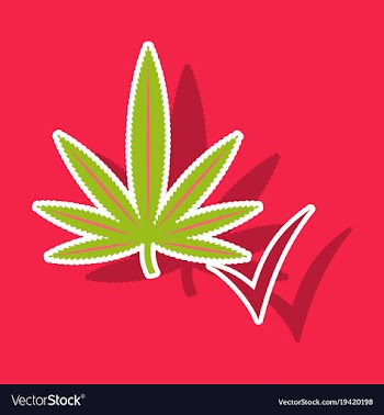 Sticker hand drawn color botanical of hemp vector image