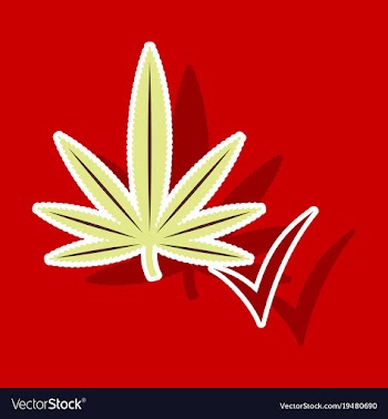 Sticker hand drawn color botanical of hemp vector image