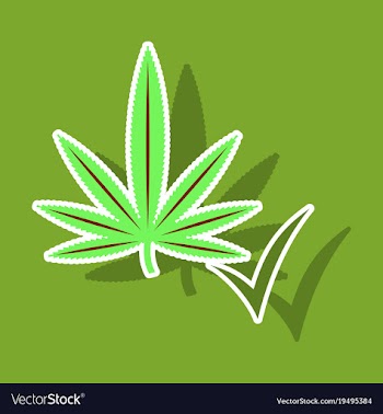 Sticker hand drawn color botanical of hemp vector image