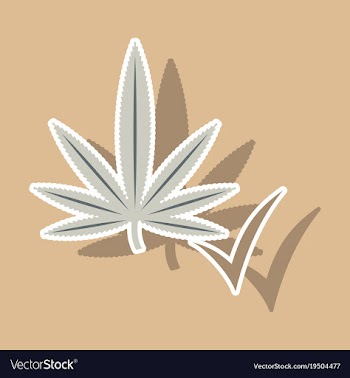 Sticker hand drawn color botanical of hemp vector image