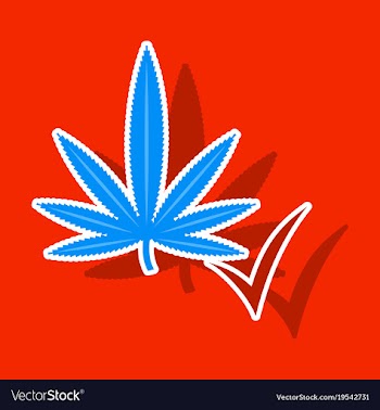 Sticker hand drawn color botanical of hemp vector image
