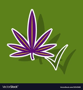 Sticker hand drawn color botanical of hemp vector image