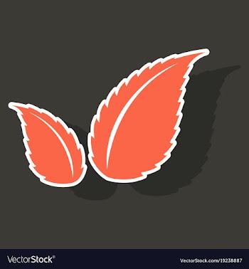 Sticker leaves logo template vector image