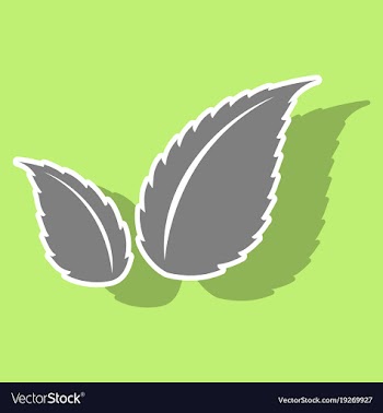 Sticker leaves logo template vector image