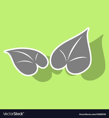 Sticker leaves logo template vector image