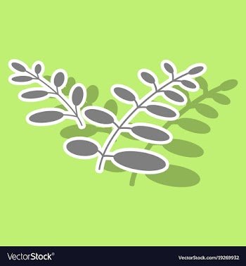 Sticker leaves logo template vector image
