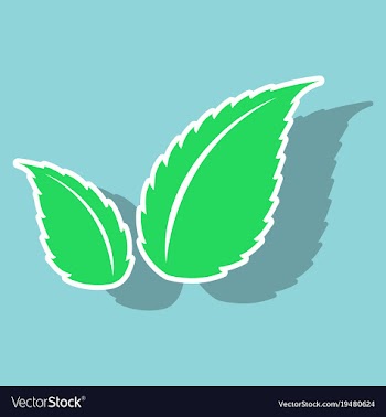 Sticker leaves logo template vector image