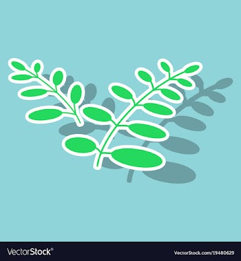 Sticker leaves logo template vector image