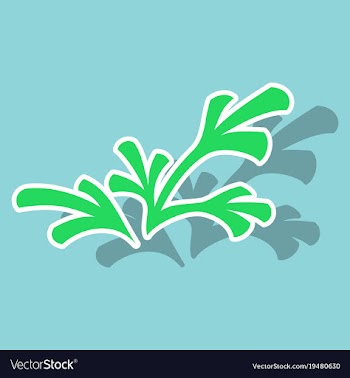 Sticker leaves logo template vector image