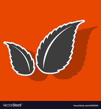 Sticker leaves logo template vector image