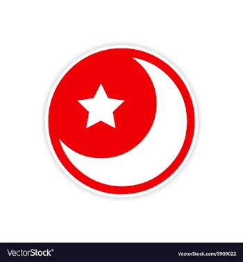 Sticker logo moon and star on a white background vector image