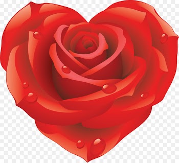 Sticker Love Rose Heart - red rose decorative 