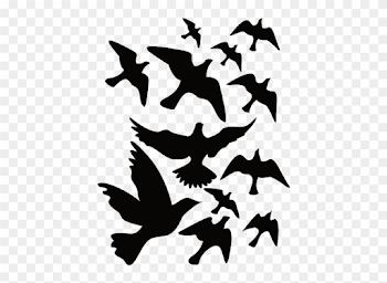 Sticker Nature Oiseaux - Nature Black White Stickers Clipart ...