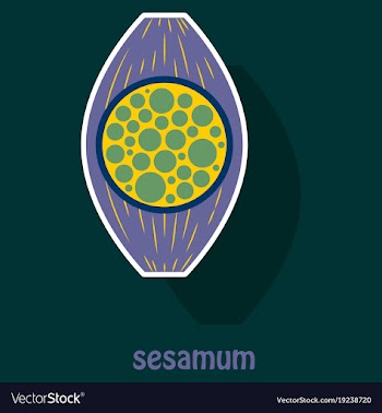 Sticker of the normal sesamoid bone external and vector image