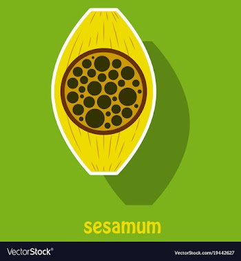 Sticker of the normal sesamoid bone external and vector image