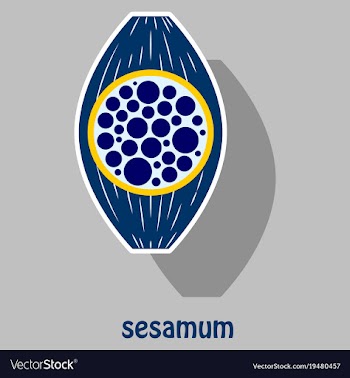 Sticker of the normal sesamoid bone external and vector image
