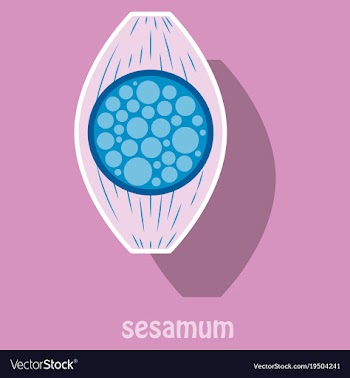 Sticker of the normal sesamoid bone external and vector image