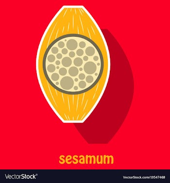 Sticker of the normal sesamoid bone external and vector image