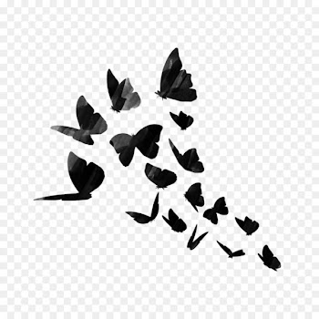 Sticker PicsArt Photo Studio Decal Editing - Sticker 