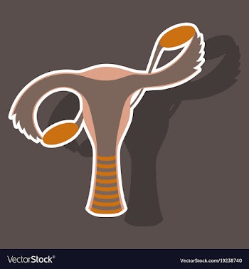 Sticker showing female reproductive system vector image