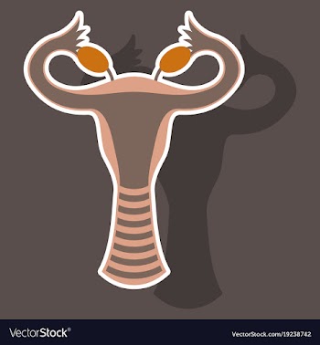 Sticker showing female reproductive system vector image