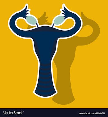Sticker showing female reproductive system vector image