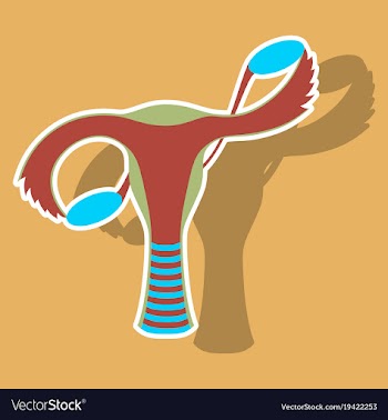 Sticker showing female reproductive system vector image