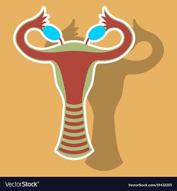 Sticker showing female reproductive system vector image