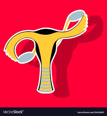 Sticker showing female reproductive system vector image
