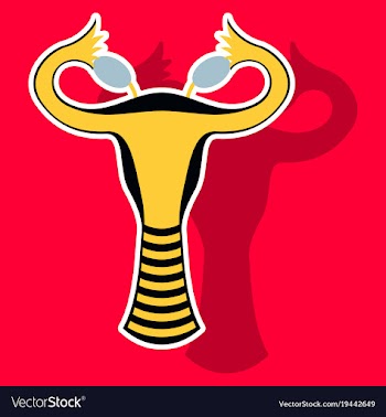 Sticker showing female reproductive system vector image