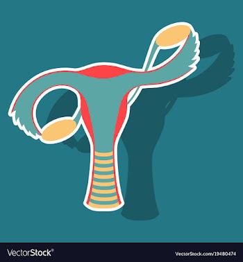 Sticker showing female reproductive system vector image