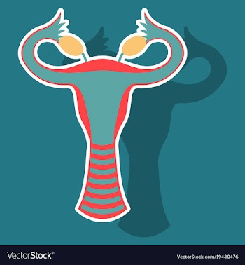 Sticker showing female reproductive system vector image