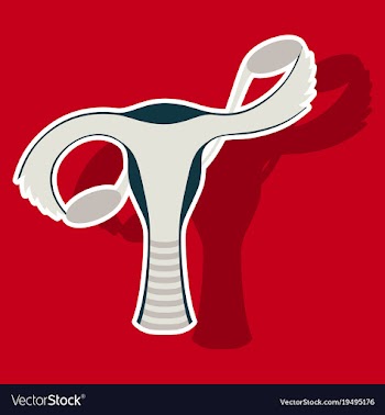 Sticker showing female reproductive system vector image
