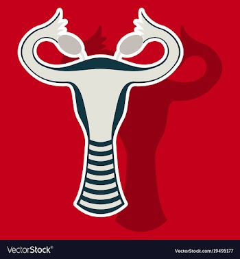 Sticker showing female reproductive system vector image