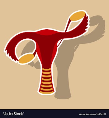 Sticker showing female reproductive system vector image